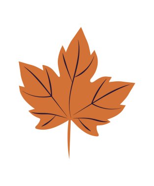 Sonbahar yaprağı doğa simgesi izole