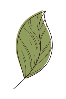 Yeşil yaprak doğa simgesi izole