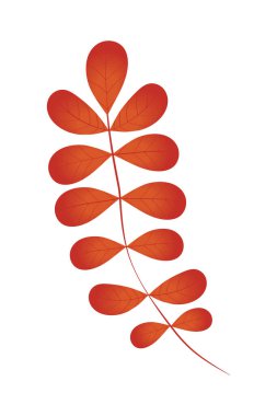 Sonbahar yeşillik doğa simgesi izole