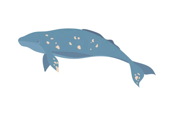 グレーのクジラのアイコンフラット — ストックベクタ