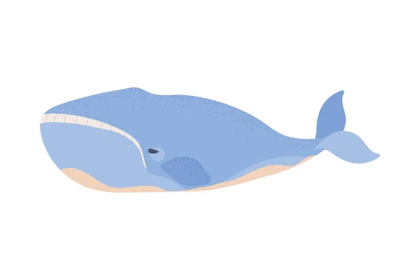 鲸海底生物隔离图标平面 — 图库矢量图片