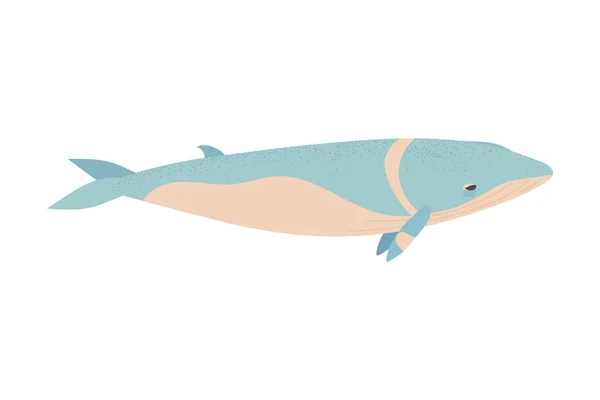 Wal Meer Tier Isoliert Symbol Flach — Stockvektor