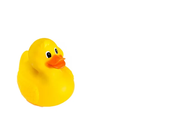 Rubber duck — Stock Photo, Image