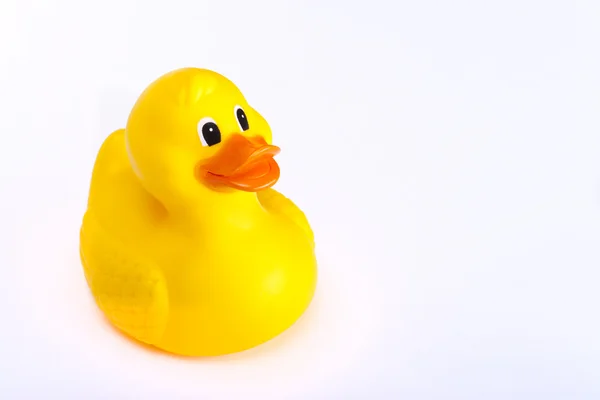 Rubber duck — Stock Photo, Image