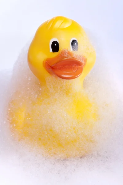 Rubber duck — Stock Photo, Image