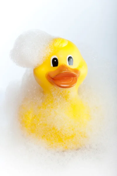 Rubber duck — Stock Photo, Image