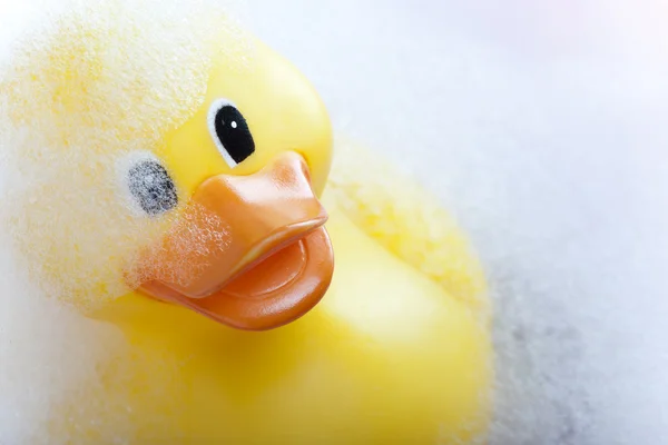 Pato de borracha — Fotografia de Stock