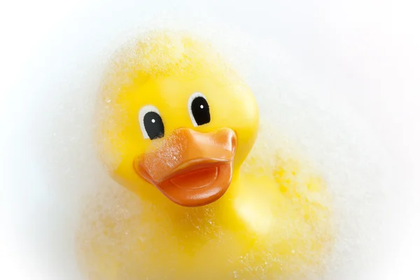 Rubber duck — Stock Photo, Image