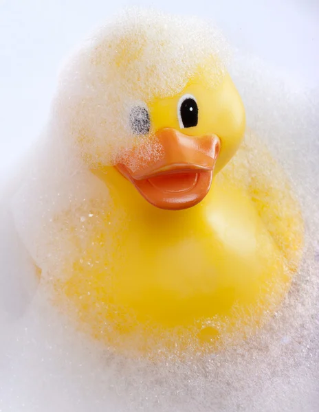 Rubber duck — Stock Photo, Image