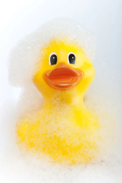 Rubber duck — Stock Photo, Image