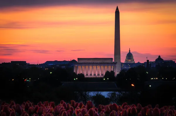 The National Mall — Stock Photo, Image