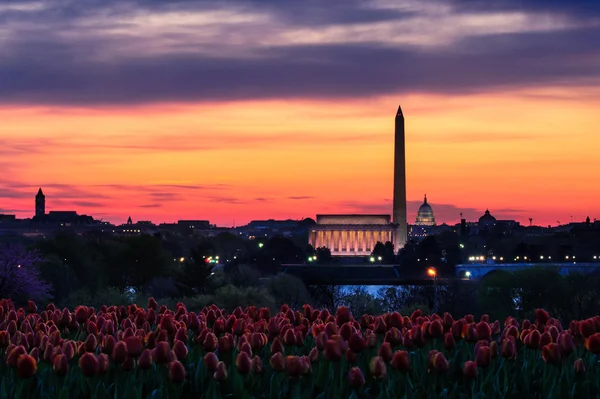 Washington tramonto monumento — Foto Stock