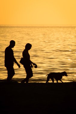 Köpekli çift