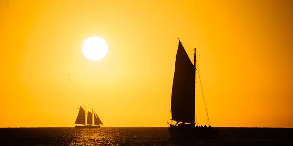 Segelbåt i havet — Stockfoto