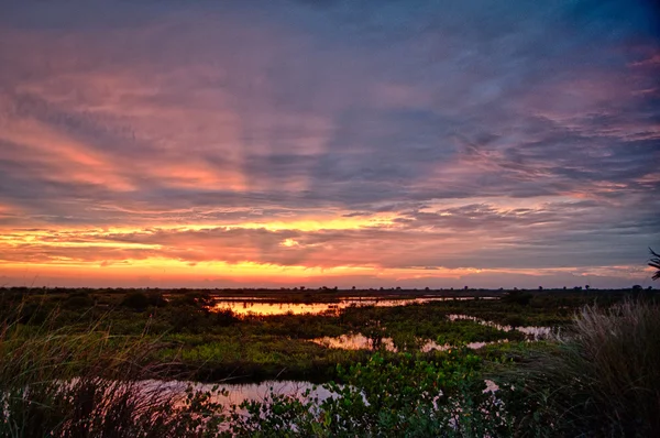 Sunset — Stock Photo, Image