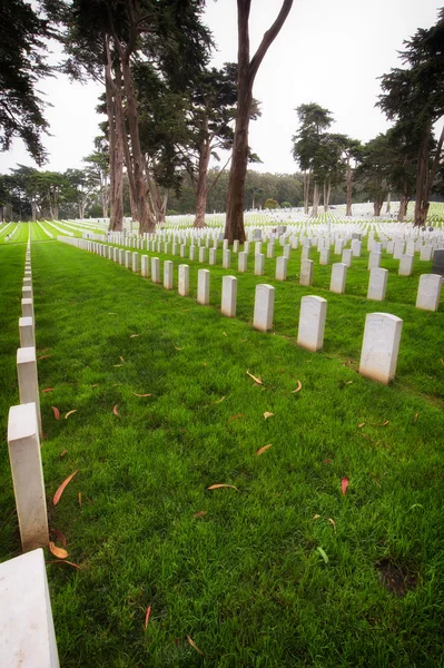 Cimitero Nazionale di San Francisco — Foto Stock