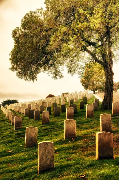 Cimitero Nazionale di San Francisco — Foto Stock