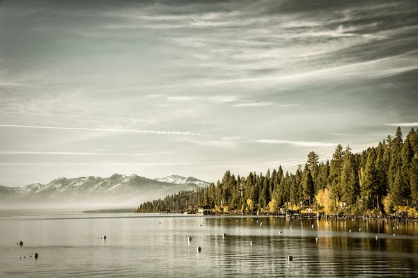 Alberi sul lungolago — Foto Stock