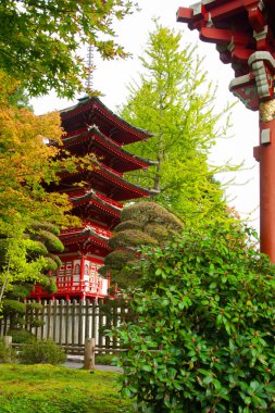 Japon çay bahçesi