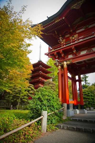 日本茶花园 — 图库照片