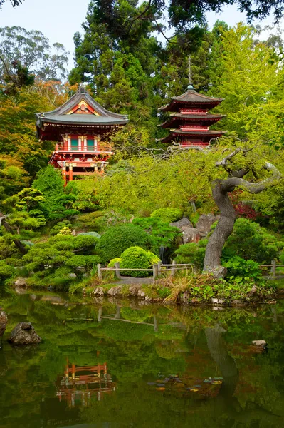 Jardín de té japonés — Foto de Stock