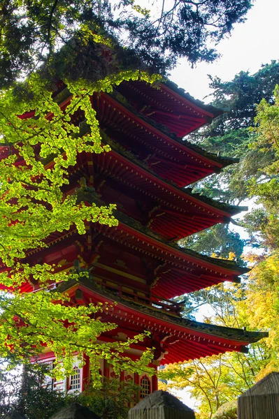 Jardín de té japonés — Foto de Stock