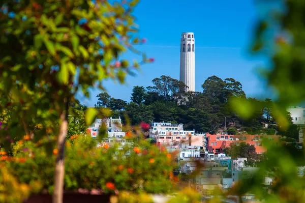 Coit tower på telegraph hill — Stockfoto