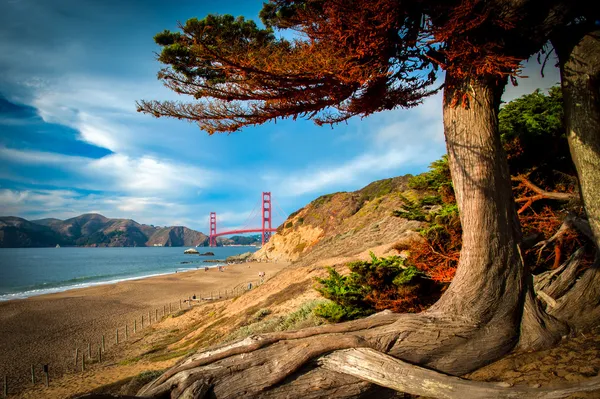 Golden Gate Bridge — Stock Photo, Image