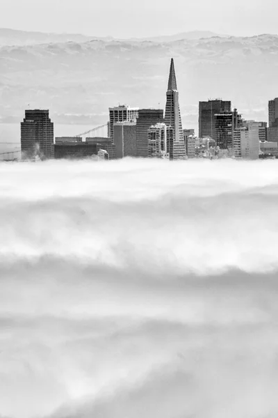 Transamerica Pyramid — Stockfoto