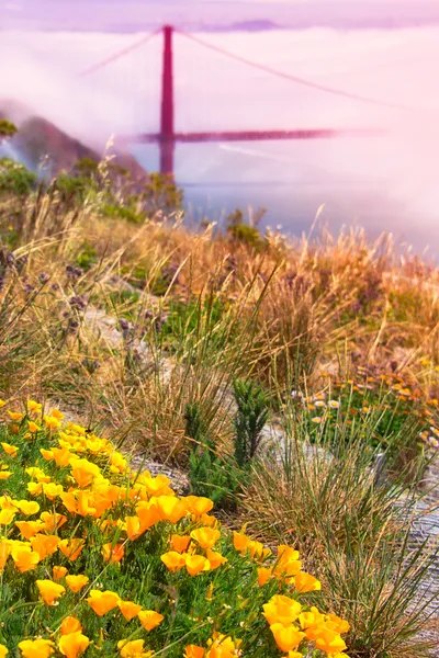 Puente de puerta de oro — Foto de Stock