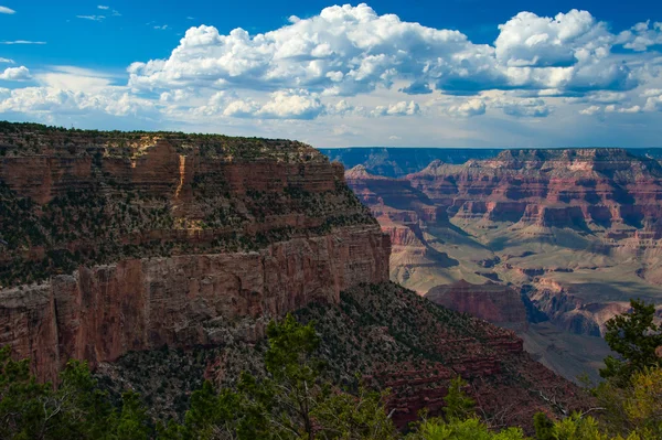 Grand Canyon — Stockfoto