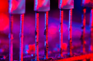 LED 'leri makro fotoğrafçılığa kırmızı ve mavi tonlarda yakınlaştırma