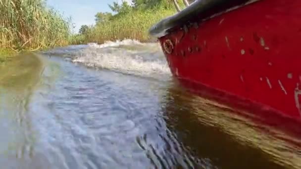 Una barca a motore naviga lungo uno stretto fiume circondato da canne — Video Stock