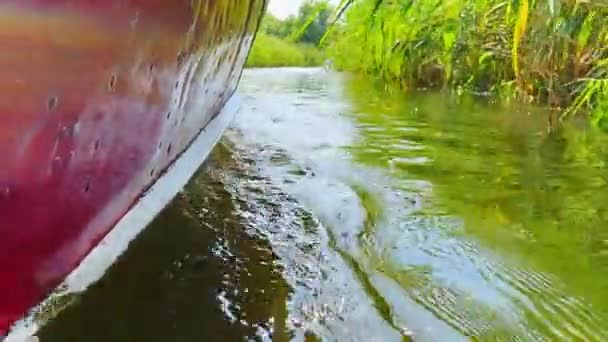 Een motorboot vaart door een struikgewas van riet — Stockvideo