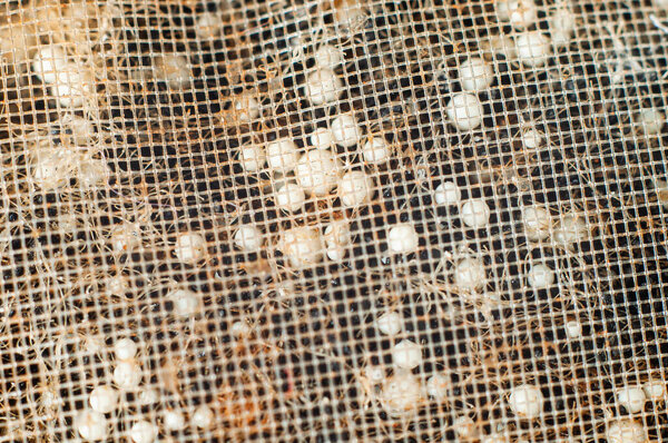 Granular white foam in balls and activated carbon for water filter