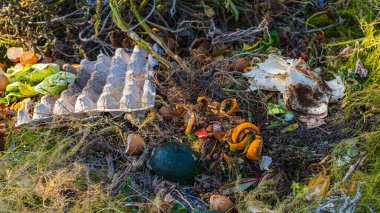 Sebze bahçesi için organik gıda atığı gübresi