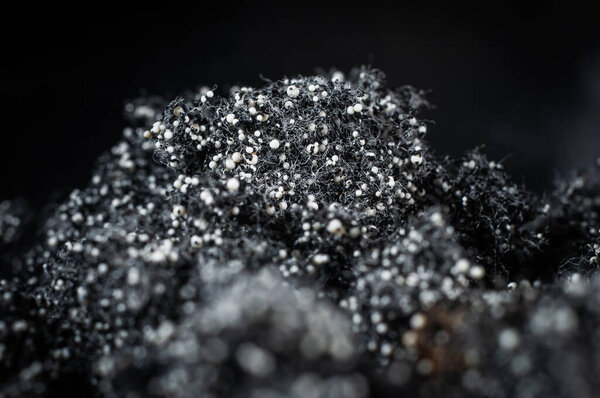 Special material for absorbing dirt from water in filters