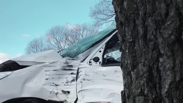 Bílé auto kouří po srážce se stromem. Kouř zpod kapoty po nehodě — Stock video