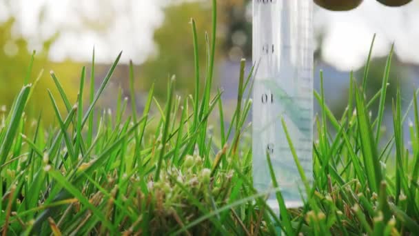 A syringe with a clear liquid is pulled out of a bright saturated lawn — Stock Video