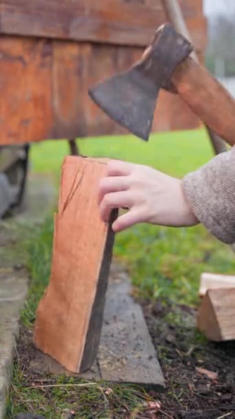 Verticale video van hout hakken met een bijl close-up — Stockvideo