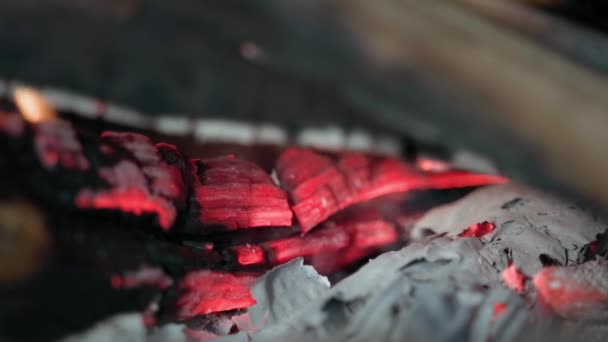 Carbones rojos de una hoguera en llamas en la chimenea de cerca — Vídeo de stock