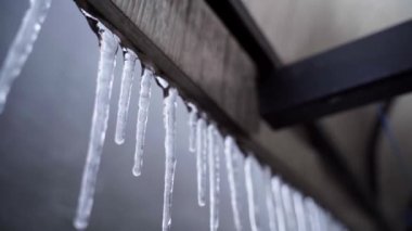 Icicles hang on the edge of the canopy close-up in winter