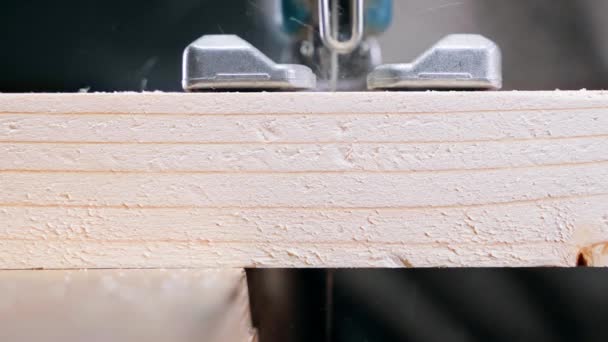 Jigsaw sawing a pine log close-up, front view — Vídeo de Stock