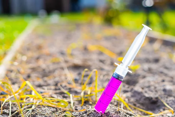 Injekční Stříkačka Silným Chemickým Hnojivem Zaseknutá Zahradním Lůžku — Stock fotografie