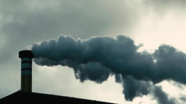 濃い白い煙が暗い空に対して煙突から発せられます。大気排出、汚染、環境災害 — ストック動画