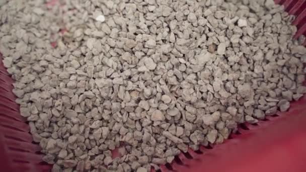 Caja de arena para gatos con arena que absorbe la humedad y el olor — Vídeos de Stock