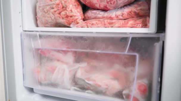 O congelador do refrigerador enche-se de produtos de carne. Existências de camarão e de carne de porco — Vídeo de Stock