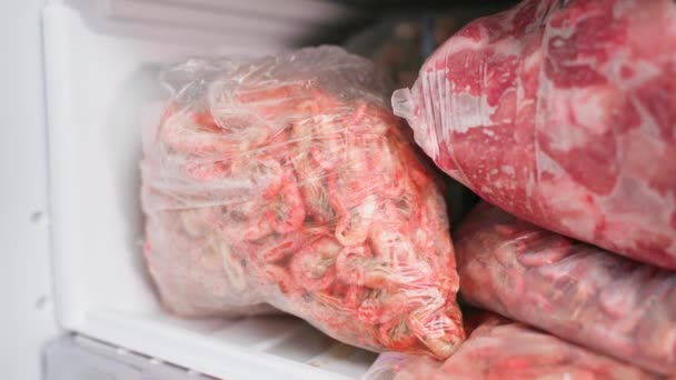 Movimiento de la cámara a lo largo del congelador con camarones congelados y carne tirada en el estante de cerca — Vídeos de Stock