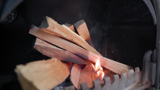 Encender un fuego en la chimenea con un primer plano de cartón. El fuego arde en la estufa de una casa privada. Calefacción de una casa privada con madera de roble — Vídeo de stock