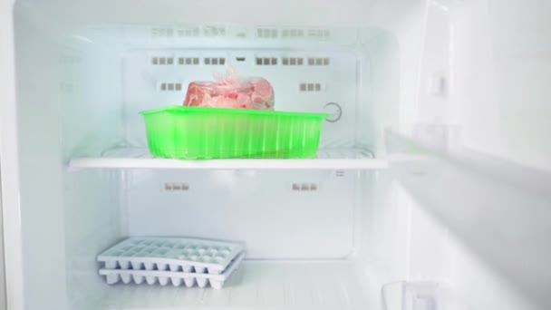Gefrorenes rohes Fleisch liegt in einem hellgrünen Behälter in der Mitte einer leeren Tiefkühltruhe. — Stockvideo